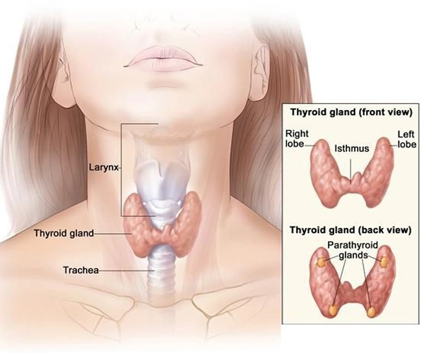 Types of Throat Cancer