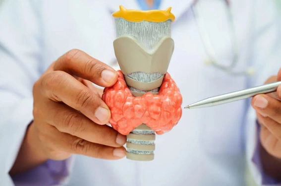 Nerve Preservation in Thyroid Surgery